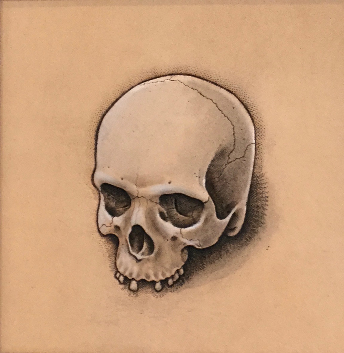 Hくんの革絵:ギャラリー