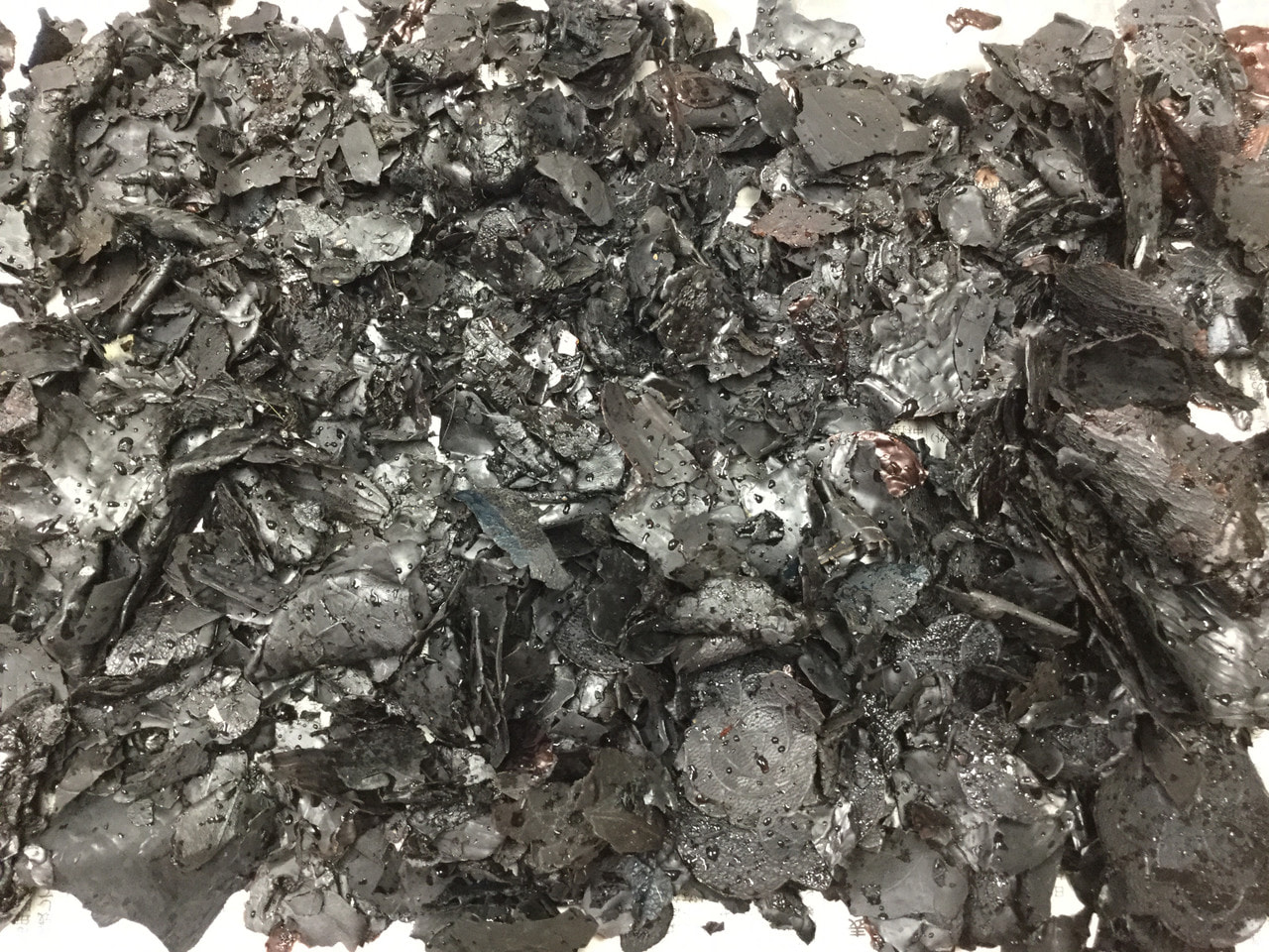 これなんだ〜〜